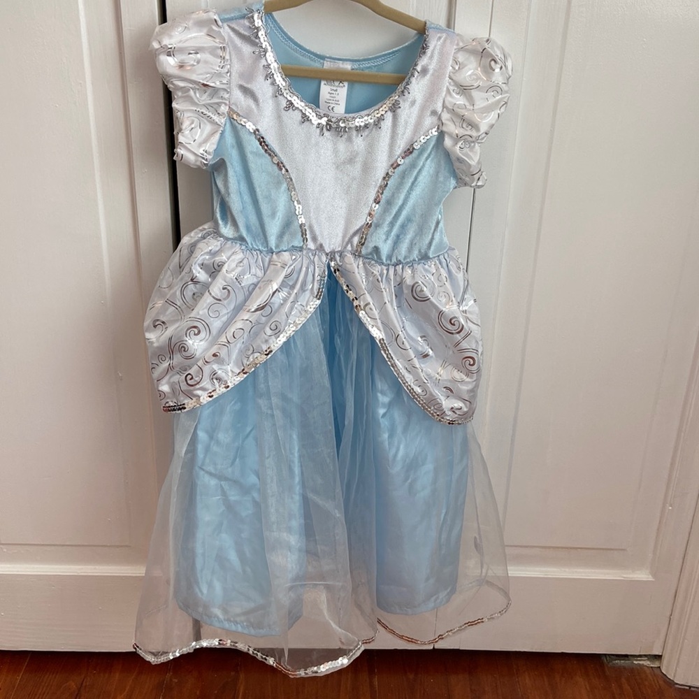 Little Adventures Cinderella Costume